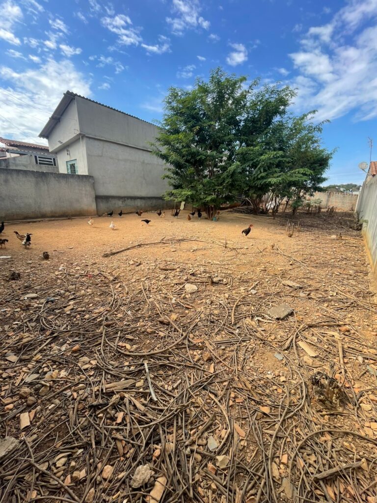 Imagem do WhatsApp de 2025-06-07 à(s) 11.25.26_4f5a93a3